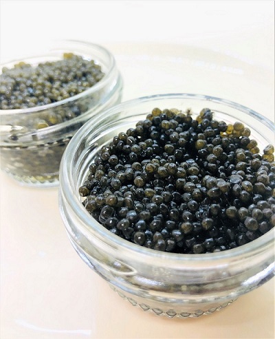 キャビア-フレンチレストラン シェムラ