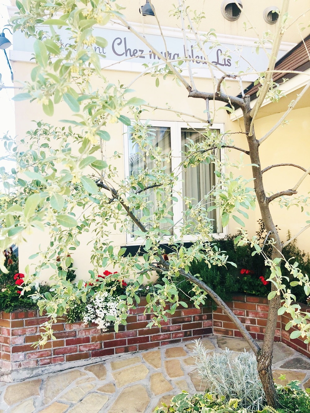 ロシアンオリーブ-フレンチレストラン シェムラ